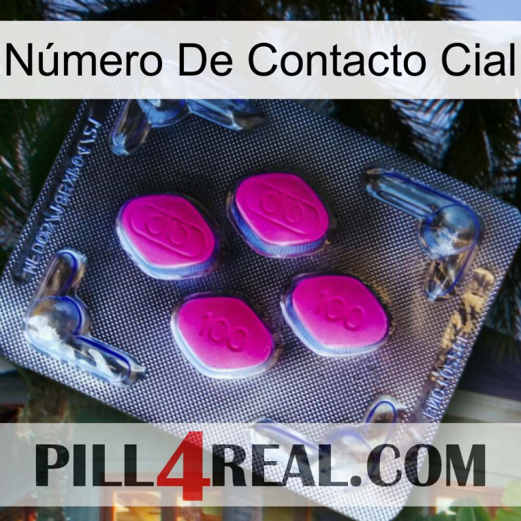 Número De Contacto Cial 02